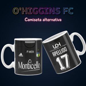 Tazon Futbool - O-HIGGINS ALTERNATIVA #22