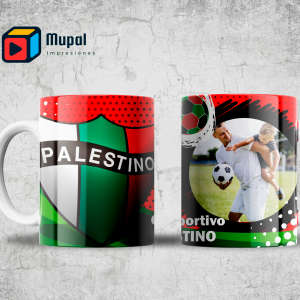 Tazon Futbool - PALESTINO CON FOTOGRAFIA #56